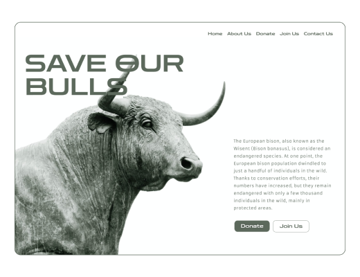 Save Our Bulls